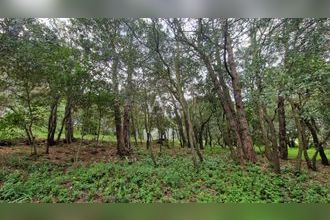 Ma-Cabane - Vente Terrain PALAJA, 2516 m²