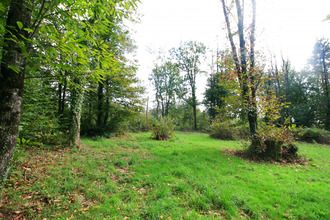 Ma-Cabane - Vente Terrain Plazac, 3200 m²