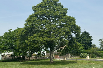 Vente Terrain 56330, PLUVIGNER France