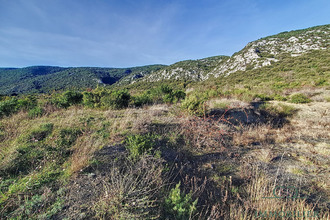 Ma-Cabane - Vente Terrain Prugnanes, 2590 m²