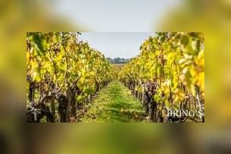 Vente Terrain 37140, Restigné France