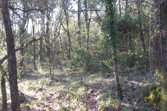 Vente Terrain 30440, Roquedur France