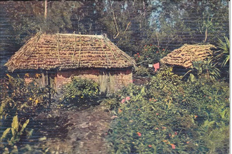 Vente Terrain 97470, Saint-Benoît France