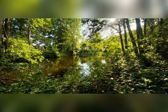 Ma-Cabane - Vente Terrain SAINT BRESSON, 3045 m²