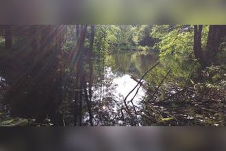 Ma-Cabane - Vente Terrain SAINT BRESSON, 3045 m²