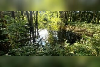 Ma-Cabane - Vente Terrain SAINT BRESSON, 3045 m²