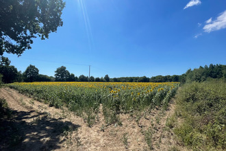 Ma-Cabane - Vente Terrain SAINT-CHRISTOPHE-DU-LIGNERON, 422862 m²