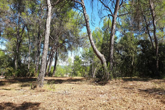 Ma-Cabane - Vente Terrain Saint-Clément-de-Rivière, 1008 m²