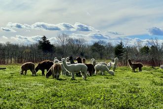 Ma-Cabane - Vente Terrain Saint-Georges-d'Orques, 921 m²