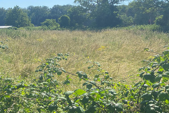 Ma-Cabane - Vente Terrain SAINT-PIERREMONT, 2058 m²