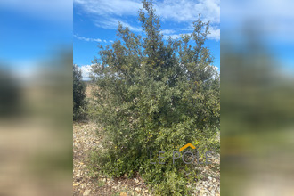 Vente Terrain 84290, SAINTE-CECILE-LES-VIGNES France