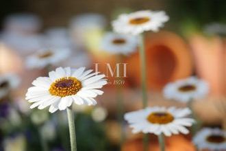 Vente Terrain 56700, Sainte-Hélène France