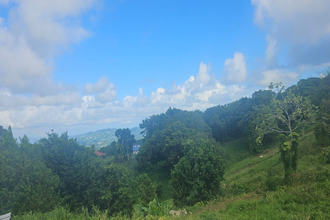 Ma-Cabane - Vente Terrain Sainte Luce, 531 m²