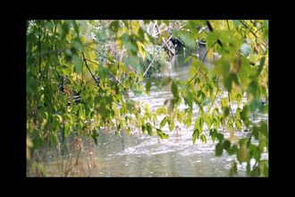 Ma-Cabane - Vente Terrain SALBRIS, 243800 m²