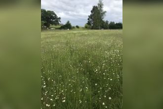 Ma-Cabane - Vente Terrain Salies-de-Béarn, 3421 m²