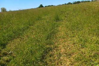 Ma-Cabane - Vente Terrain Salies-de-Béarn, 7120 m²