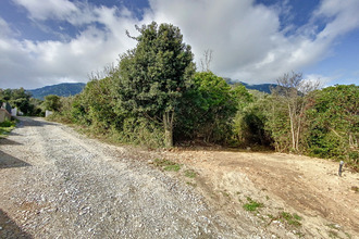 Ma-Cabane - Vente Terrain Santa-Maria-Poggio, 2080 m²