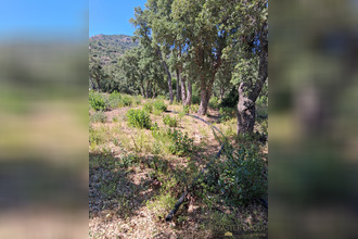 Vente Terrain 20145, Sari-Solenzara France