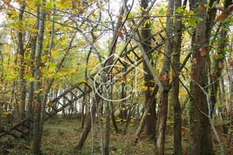 Ma-Cabane - Vente Terrain Savignac-de-Duras, 10873 m²