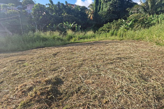 Vente Terrain 97233, SCHOELCHER France