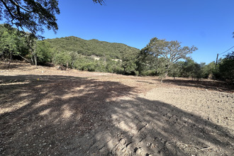 Vente Terrain 20243, Serra-di-Fiumorbo France