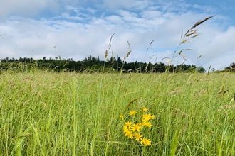 Ma-Cabane - Vente Terrain THIAVILLE-SUR-MEURTHE, 2000 m²