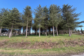 Vente Terrain 49125, TIERCE France