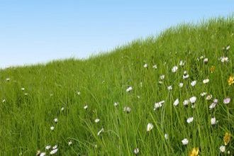 Ma-Cabane - Vente Terrain Tignieu-Jameyzieu, 600 m²