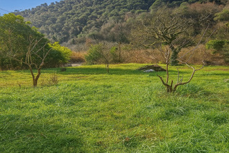 Vente Terrain 06690, TOURRETTE LEVENS France