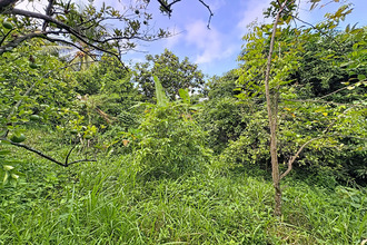 Vente Terrain 97220, Trinité France
