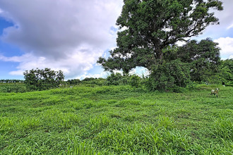 Vente Terrain 97220, Trinité France
