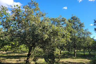 Ma-Cabane - Vente Terrain VENASQUE, 26296 m²