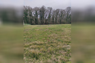 Vente Terrain 77670, Vernou-la-Celle-sur-Seine France