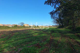 Vente Terrain 20215, VESCOVATO France