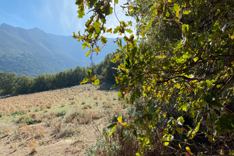 Ma-Cabane - Vente Terrain VILLE-DI-PARASO, 1920 m²