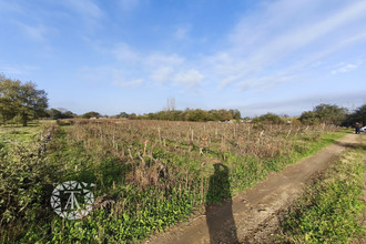 Ma-Cabane - Vente Terrain Villelongue-dels-Monts, 9255 m²