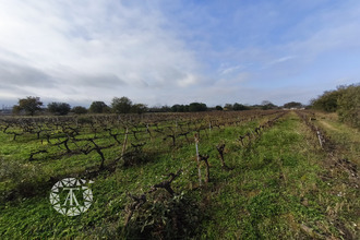 Ma-Cabane - Vente Terrain Villelongue-dels-Monts, 9255 m²