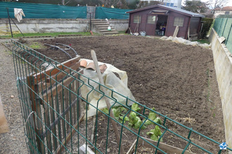  viager issoire 63500