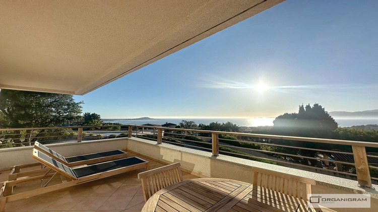 Ma-Cabane - Location Appartement Albitreccia, 49 m²