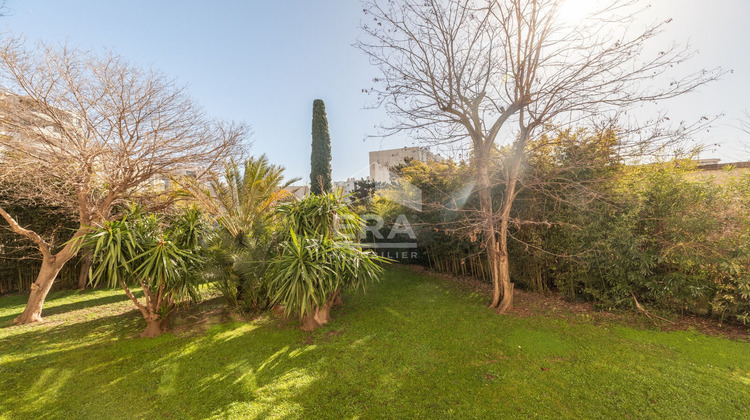 Ma-Cabane - Location Appartement ANTIBES, 56 m²