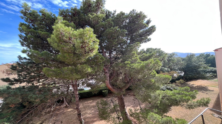 Ma-Cabane - Location Appartement Argelès-sur-Mer, 31 m²