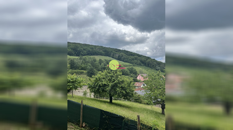 Ma-Cabane - Location Appartement Barr, 127 m²