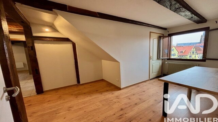 Ma-Cabane - Location Appartement Bouxwiller, 50 m²