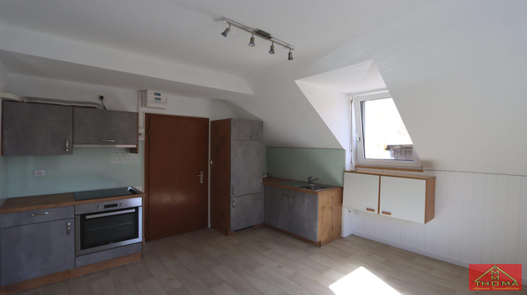 Ma-Cabane - Location Appartement Buschwiller, 24 m²