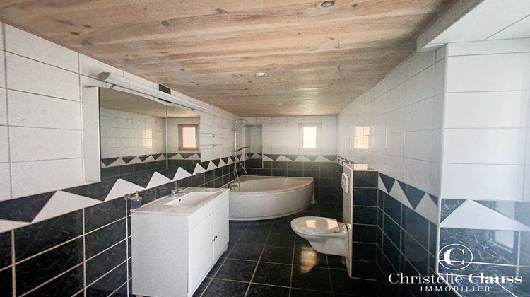 Ma-Cabane - Location Appartement BUSCHWILLER, 110 m²