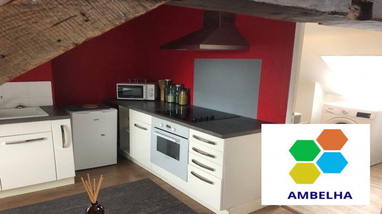 Ma-Cabane - Location Appartement Châteauneuf-sur-Loire, 33 m²