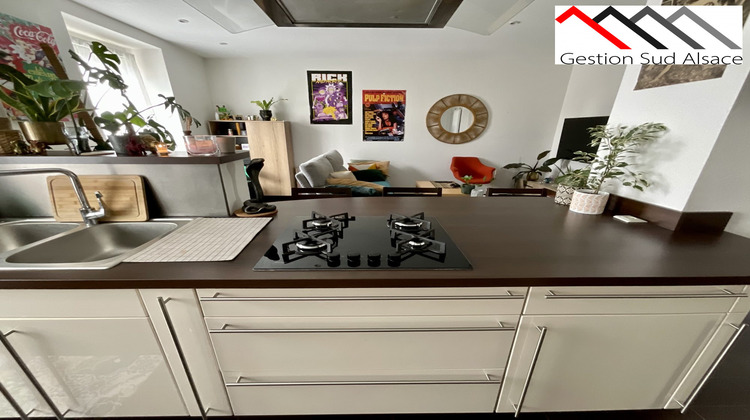 Ma-Cabane - Location Appartement Colmar, 62 m²