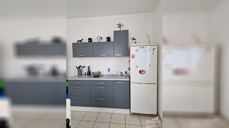 Ma-Cabane - Location Appartement Delle, 70 m²