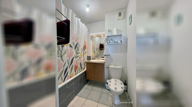 Ma-Cabane - Location Appartement Gaillac, 36 m²