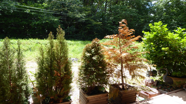 Ma-Cabane - Location Appartement LEMBERG, 66 m²